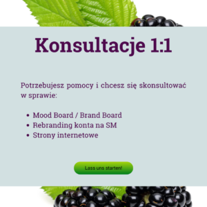 Konsultacje 1:1