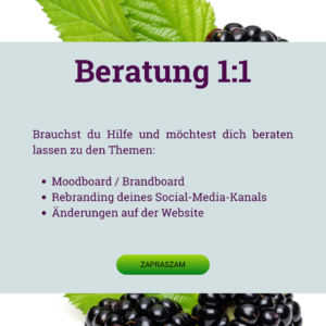Beratung 1:1